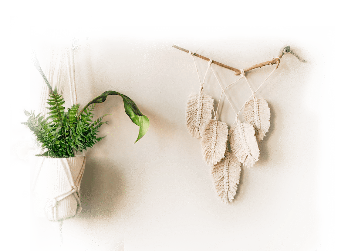 A white wall with a plant hanging from a branch.