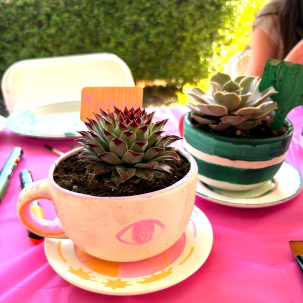 The Bespoke Maker Party – San Diego Area
