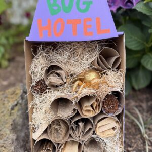 Bug hotel project