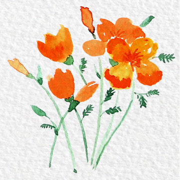 Watercolor